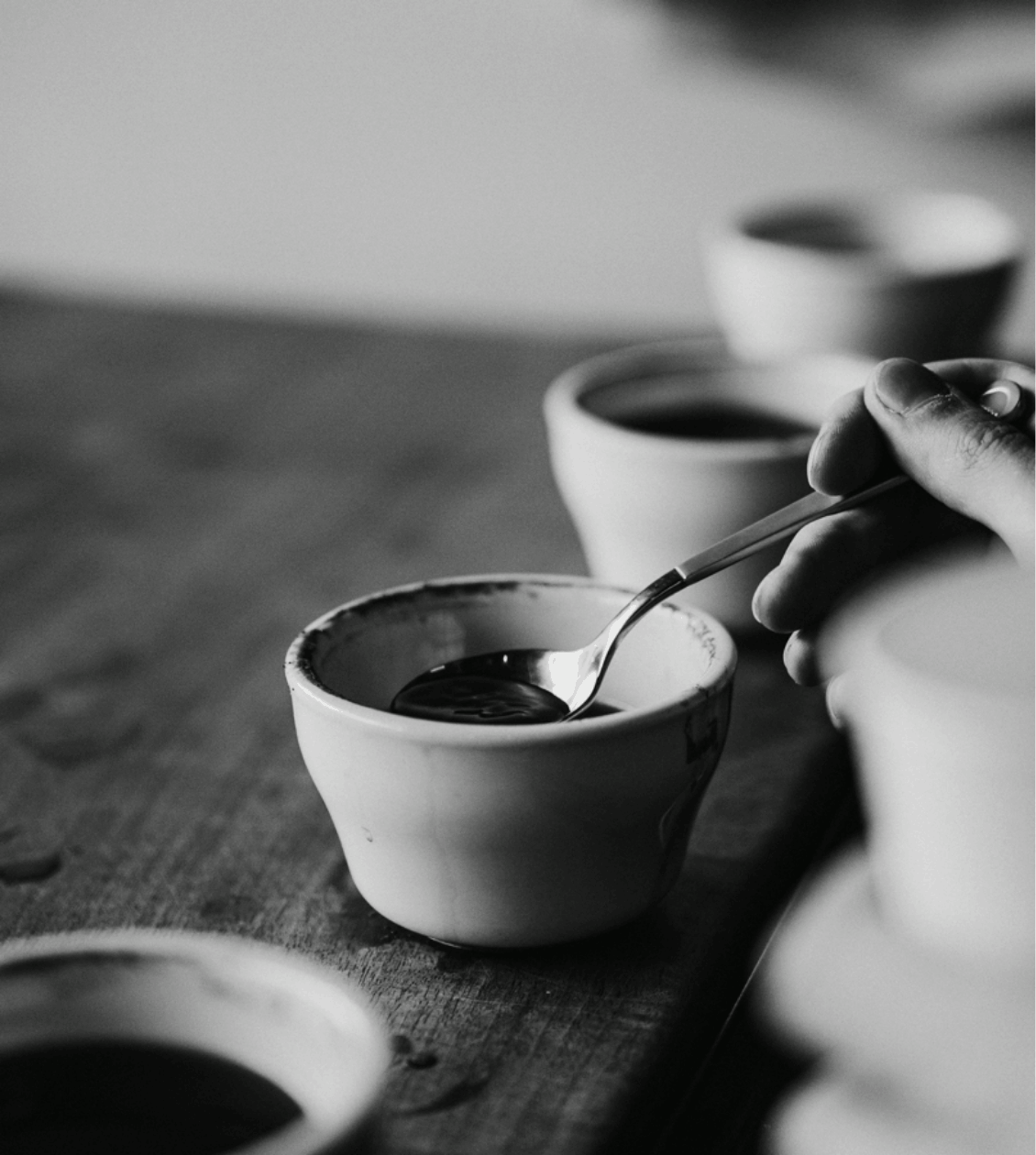 Cata y Cupping de café