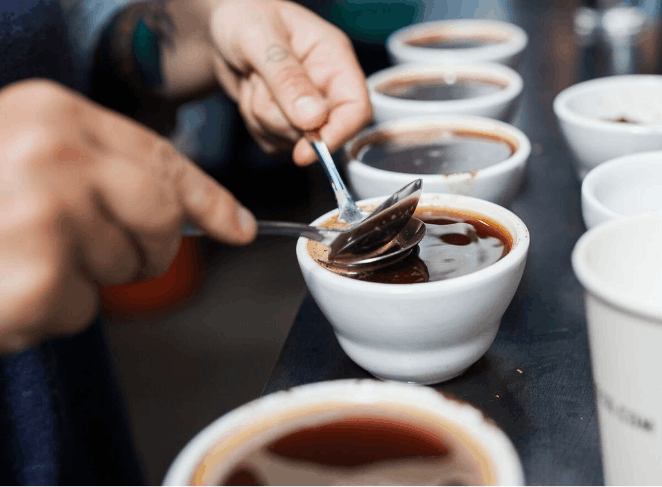 Cucharas rompiendo la taza en cata de café