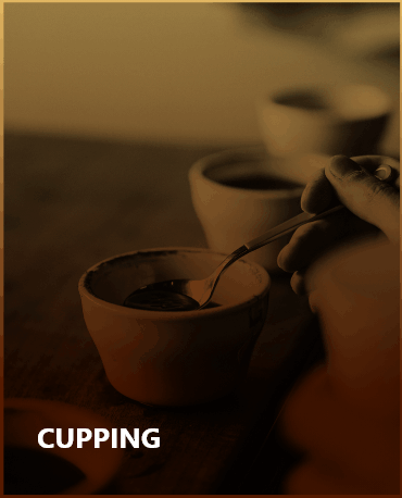 Cupping
