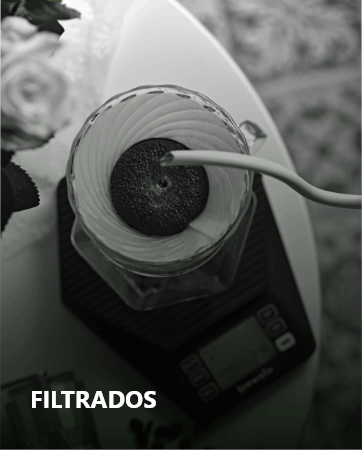 Filtrados