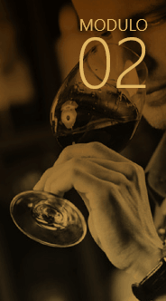 Módulo 02