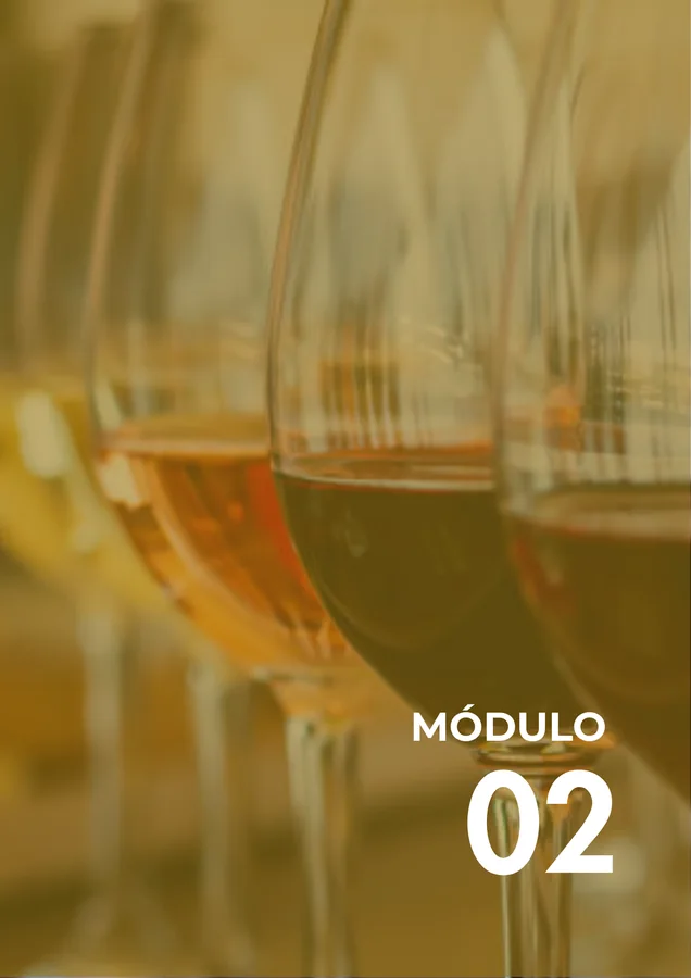 Módulo 02