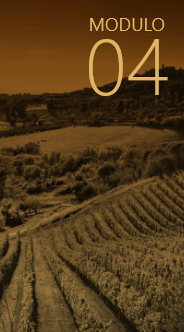 Módulo 04