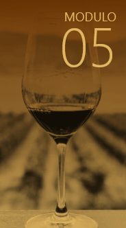 Módulo 05