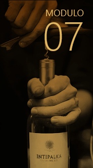 Módulo 07
