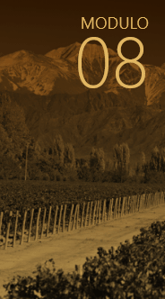 Módulo 08