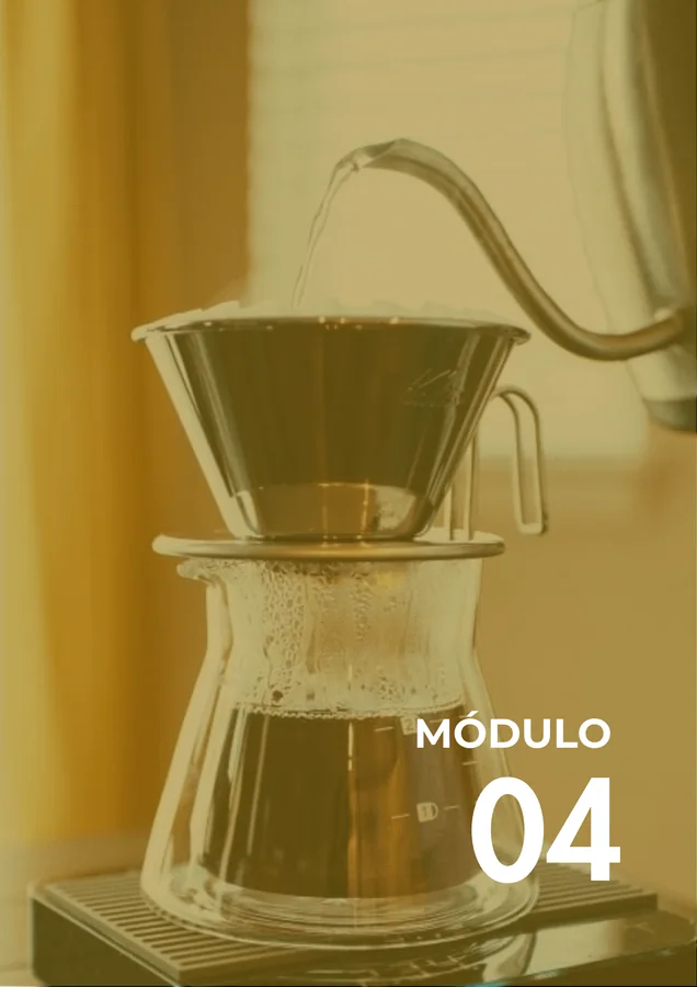 Módulo 04