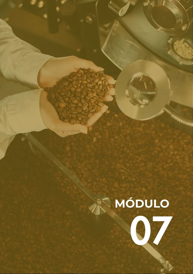 Módulo 07