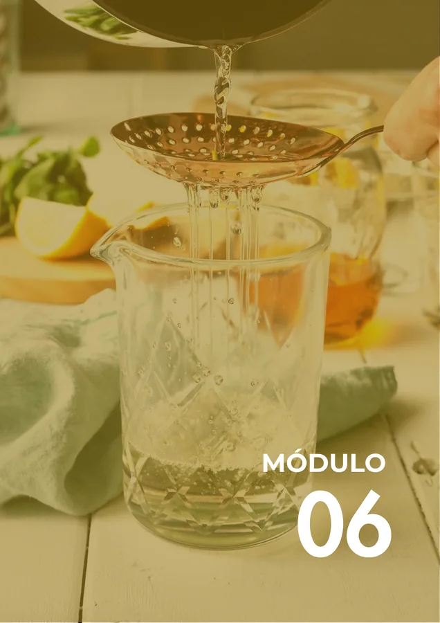 Módulo 06