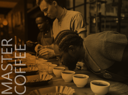 Diplomado de Master coffee