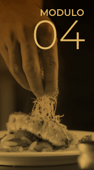 Módulo 04