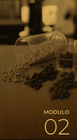 Módulo 02