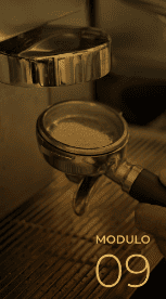 Módulo 09